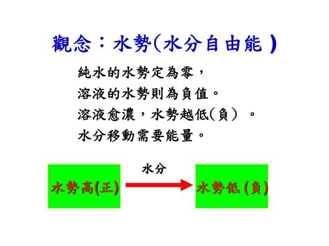 水勢能|植物細胞水勢:簡介,組成部分,水勢梯度,水勢測定,